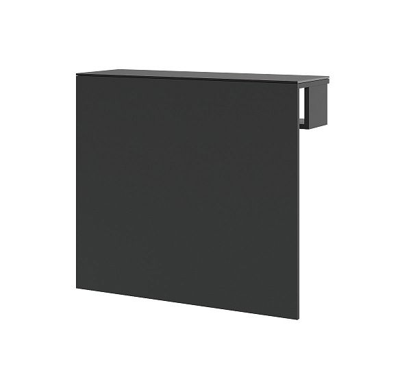 ФАСТА/FASTA Полка навесная длинная ГРАФИТ