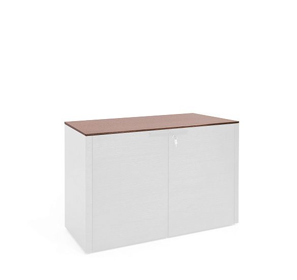 РЭЙЛ/RAIL Топ для шкафа ш.100 ДУБ ТАБАК